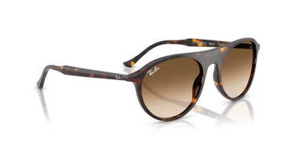 Ray-Ban RB 2215 902/51