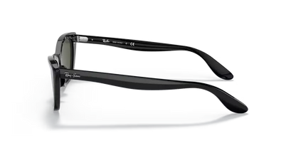 Ray-Ban RB2299 901/31