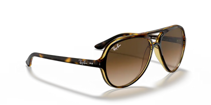 Ray-Ban RB4125 710/51 Cats 5000