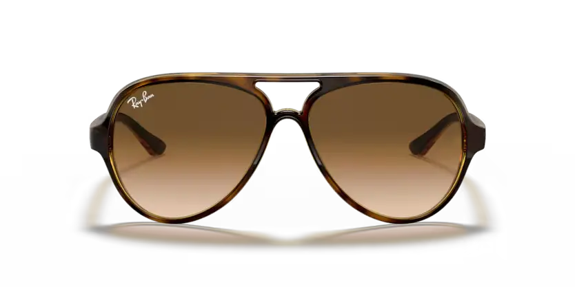 Ray-Ban RB4125 710/51 Cats 5000