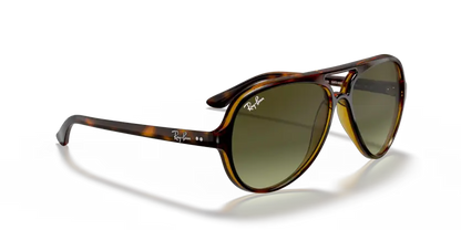 Ray-Ban RB4125 710/A6
