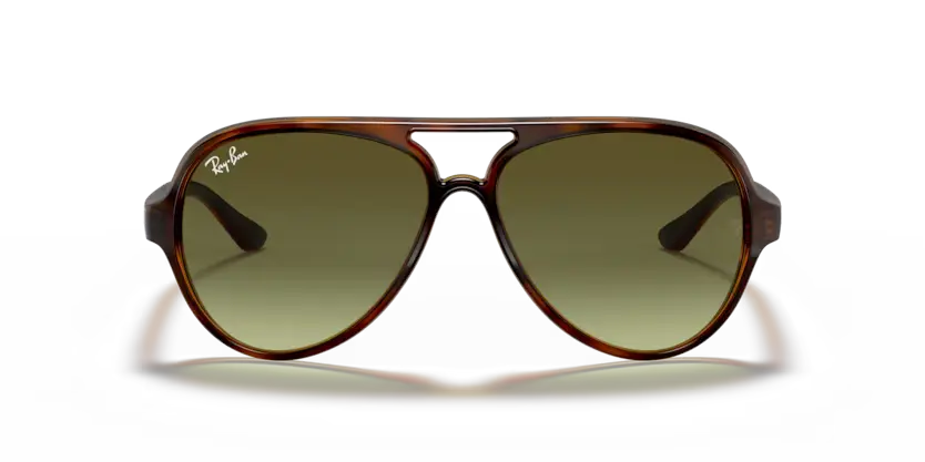 Ray-Ban RB4125 710/A6
