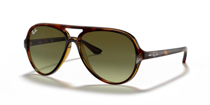 Ray-Ban RB4125 710/A6