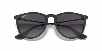 Ray-Ban Erika RB4171 622/8G