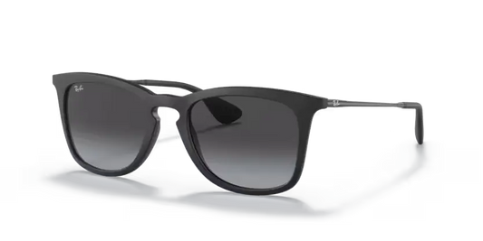 Ray-Ban RB4221 622/8G
