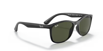 Ray-Ban RB4374 601/31