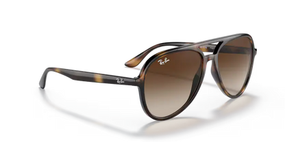 Ray-Ban RB4376 710/13