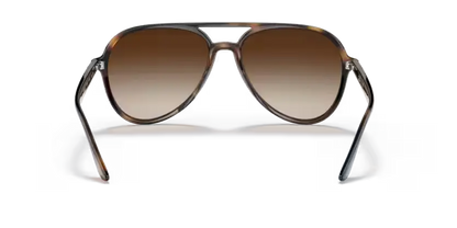 Ray-Ban RB4376 710/13