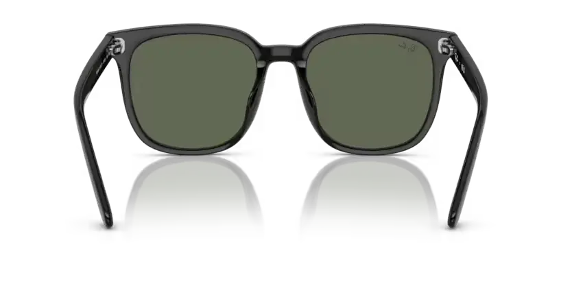 Ray-Ban RB4401D 601/71