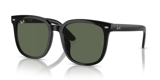 Ray-Ban RB4401D 601/71
