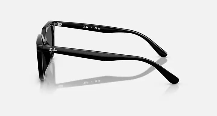 Ray-Ban RB4439D 901/87
