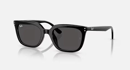 Ray-Ban RB4439D 901/87