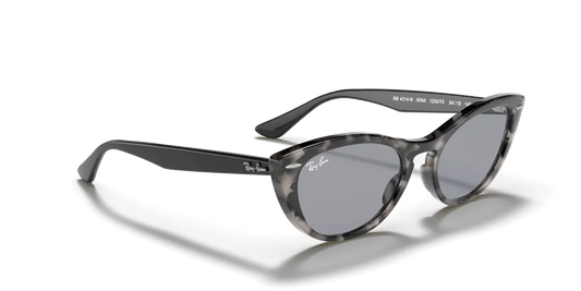 Ray-Ban 4314N 1250Y5
